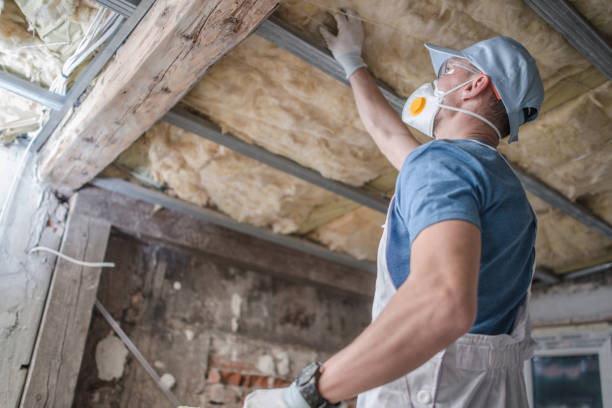 Best Specialized Insulation Services in Plummer, ID