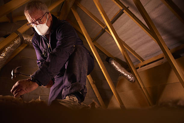 Best DIY Insulation Kits and Guidance in Plummer, ID